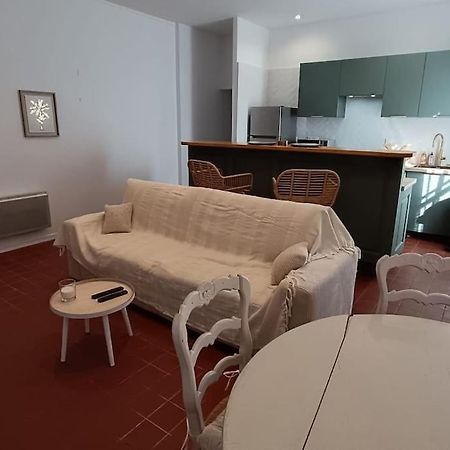 Hypercentre, Appartement Coquet En Rez-De-Chaussee Perpinhã Exterior foto